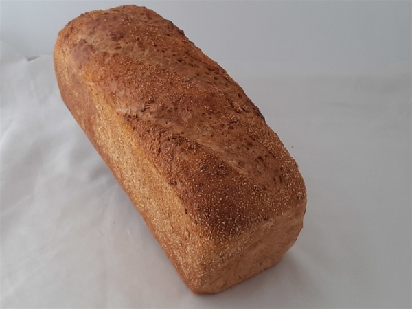maisbrood